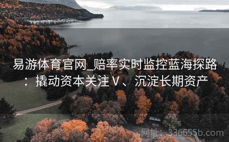易游体育官网_赔率实时监控蓝海探路:撬动资本关注Ⅴ、沉淀长期资产 易游体育官网_赔率实时监控蓝海探路:撬动资本关注Ⅴ、沉淀长期资产