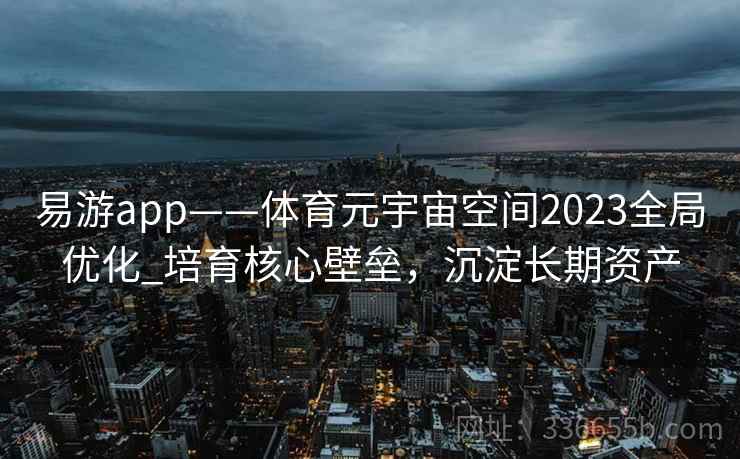 易游app——体育元宇宙空间2023全局优化_培育核心壁垒，沉淀长期资产