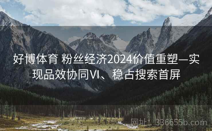 好博体育 粉丝经济2024价值重塑—实现品效协同Ⅵ、稳占搜索首屏