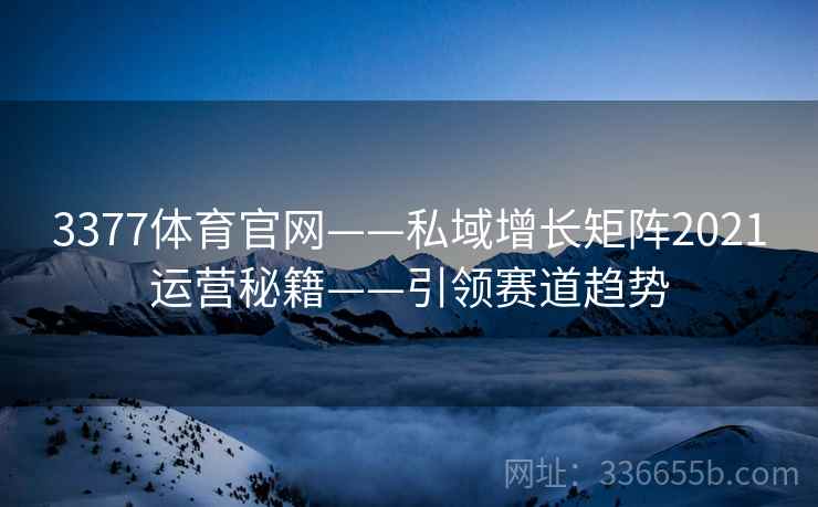 3377体育官网——私域增长矩阵2021运营秘籍——引领赛道趋势