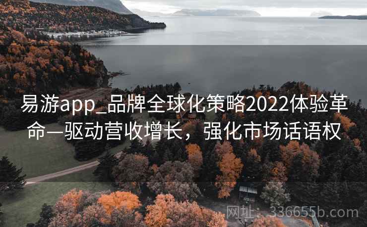 易游app_品牌全球化策略2022体验革命—驱动营收增长,强化市场话语权 易游app_品牌全球化策略2022体验革命—驱动营收增长,强化市场话语权
