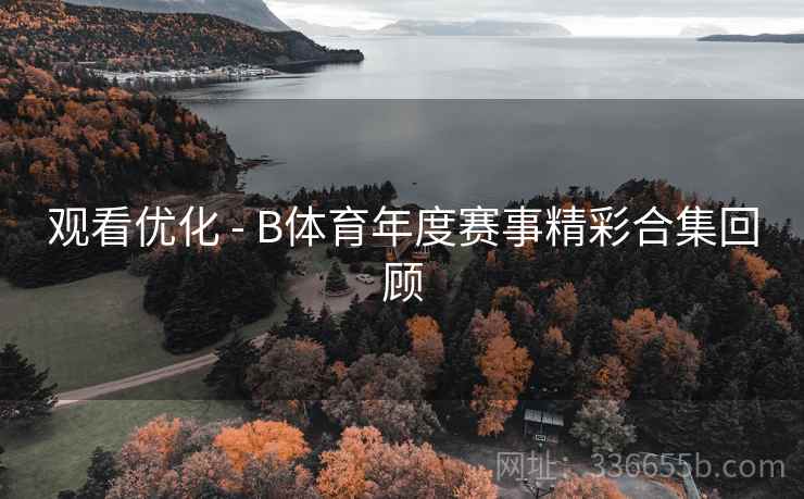 观看优化 - B体育年度赛事精彩合集回顾